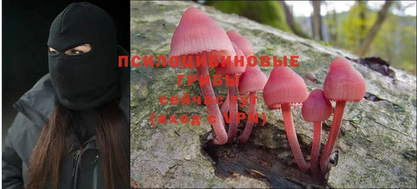 хмурый Лабытнанги